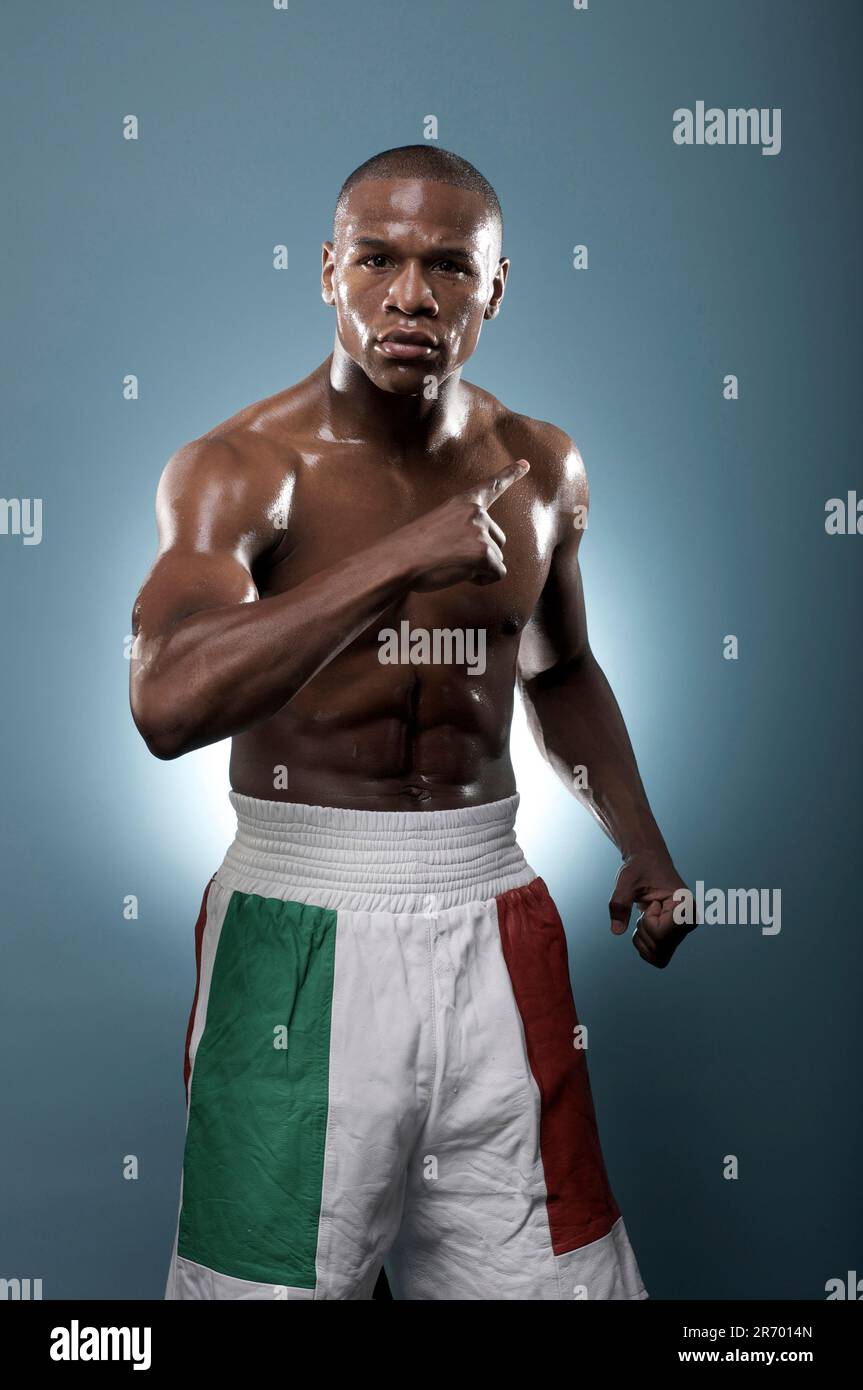 floyd mayweather portrait 0009