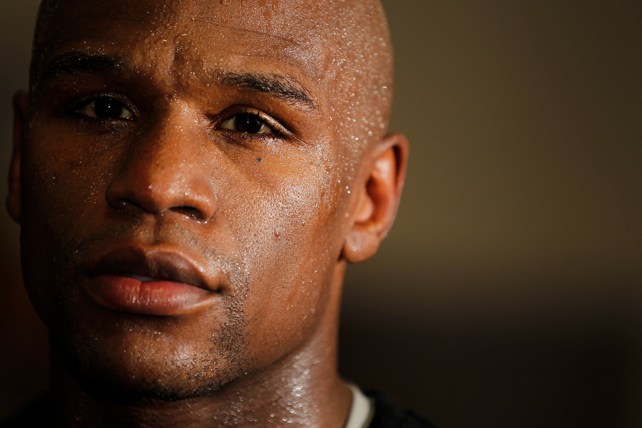floyd mayweather portrait 0016