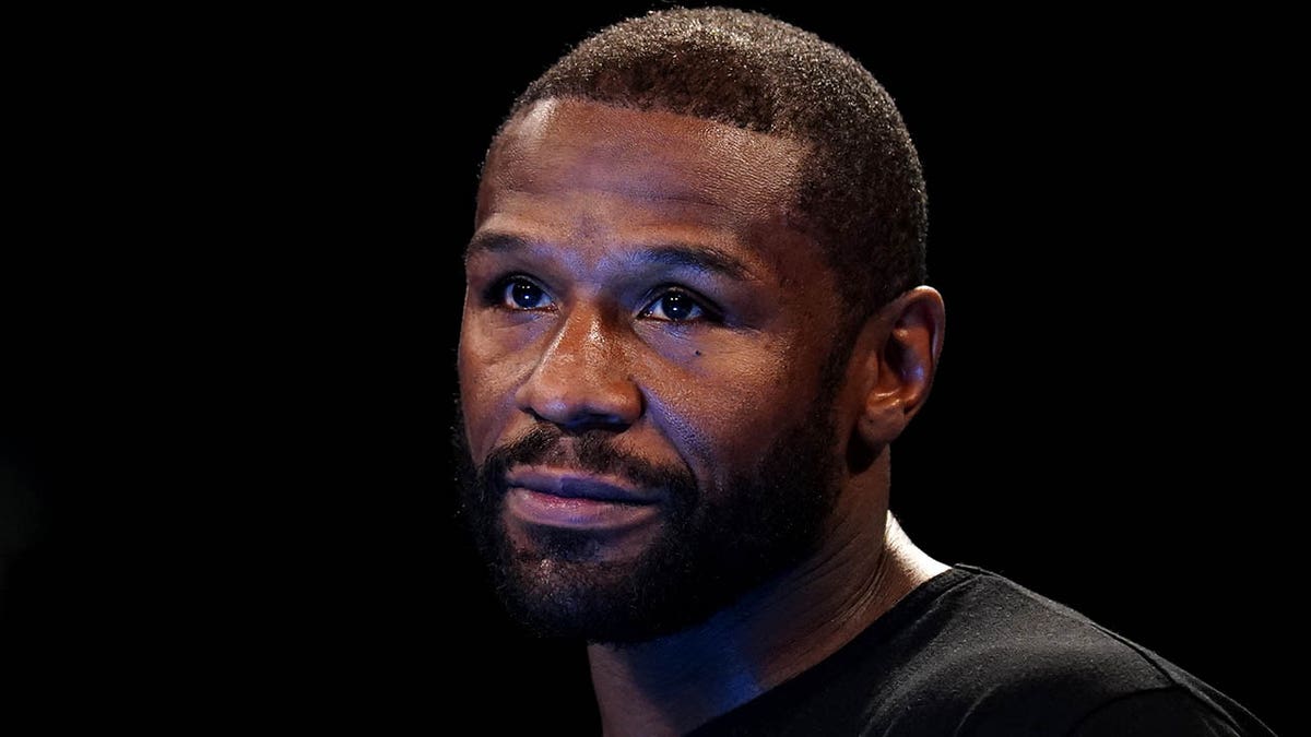 floyd mayweather portrait 0017