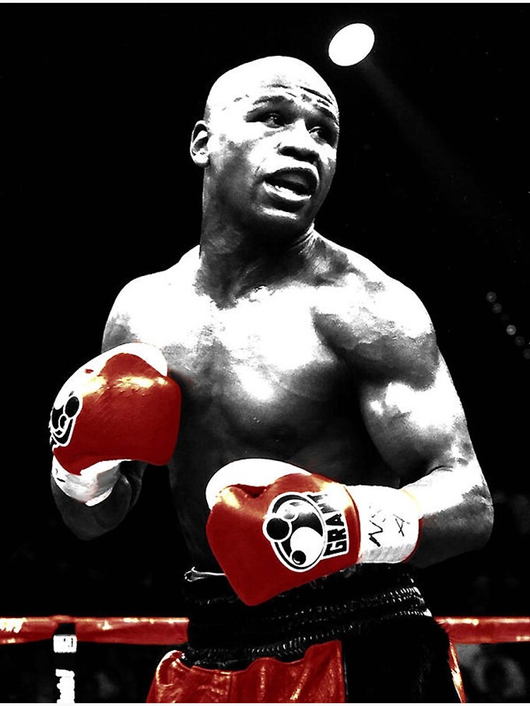 floyd mayweather portrait 0029