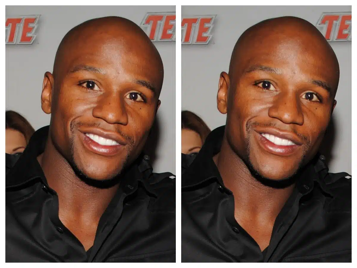 floyd mayweather portrait 0032
