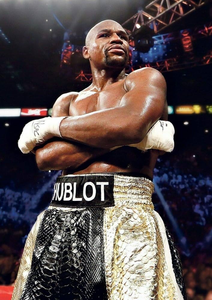 floyd mayweather portrait 0033