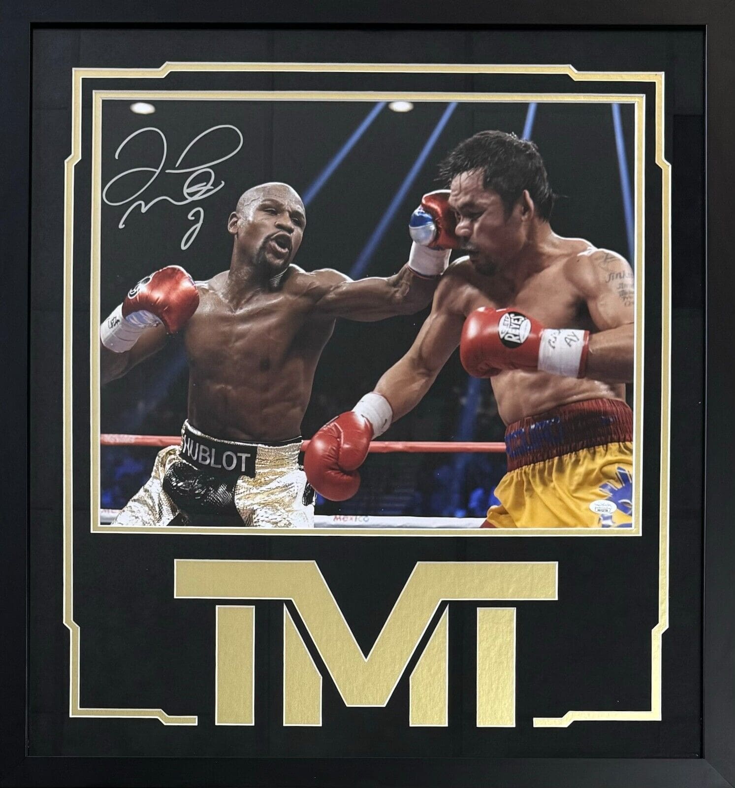 floyd mayweather portrait 0043