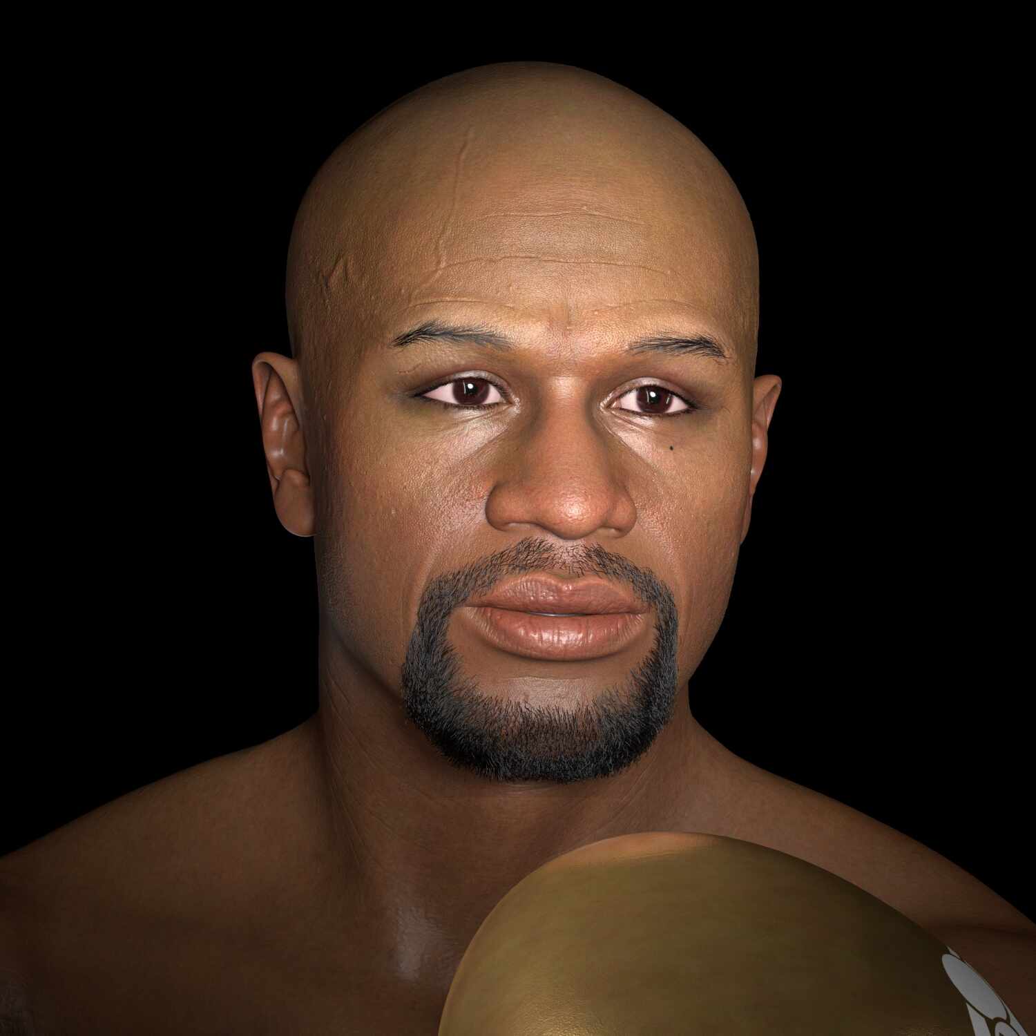floyd mayweather portrait 0045