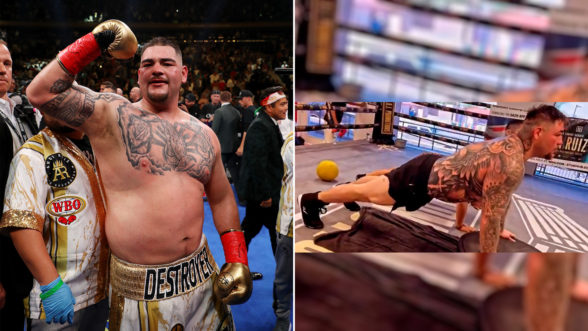 fotos de andy ruiz 0029