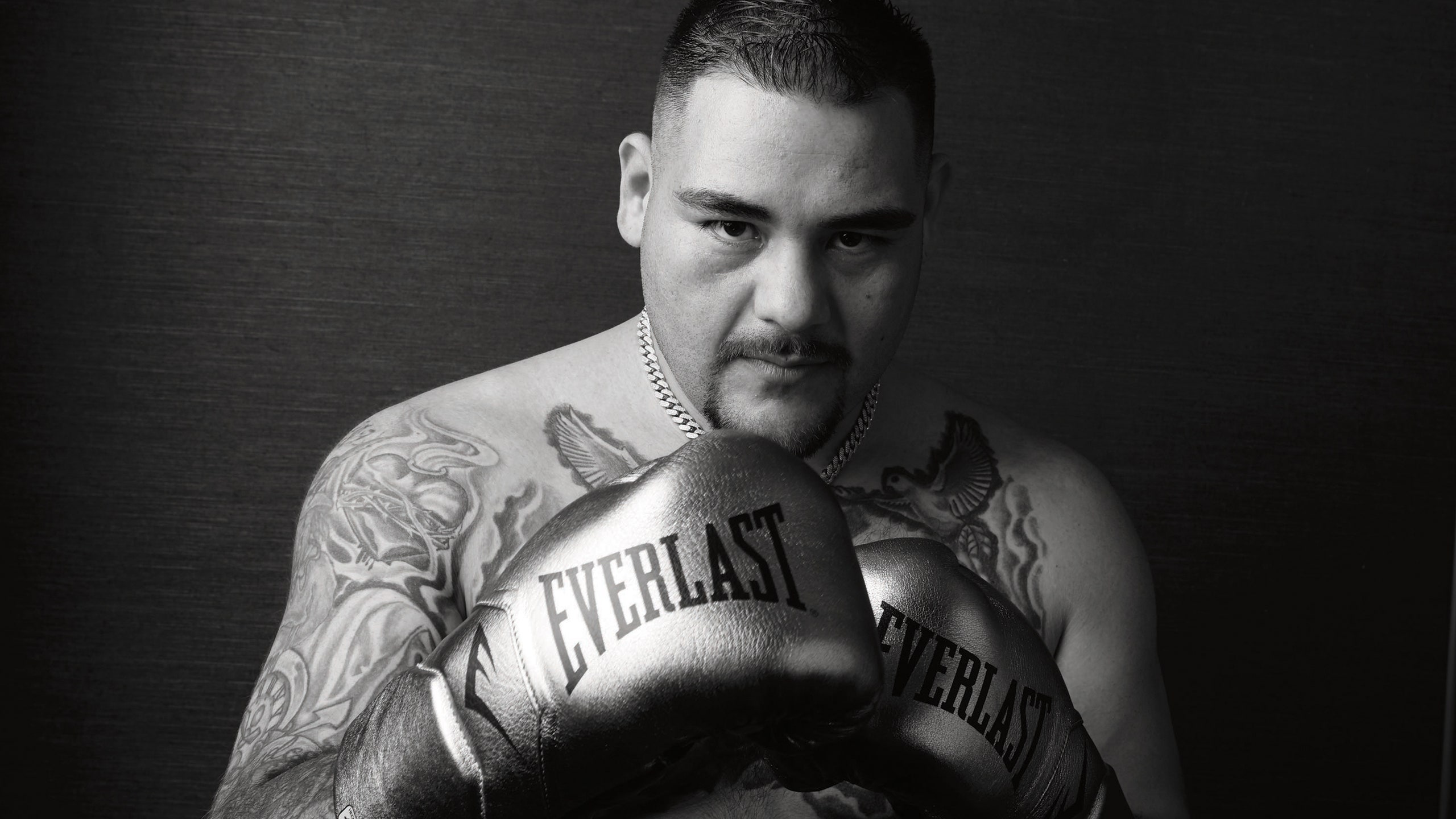 fotos de andy ruiz 0035