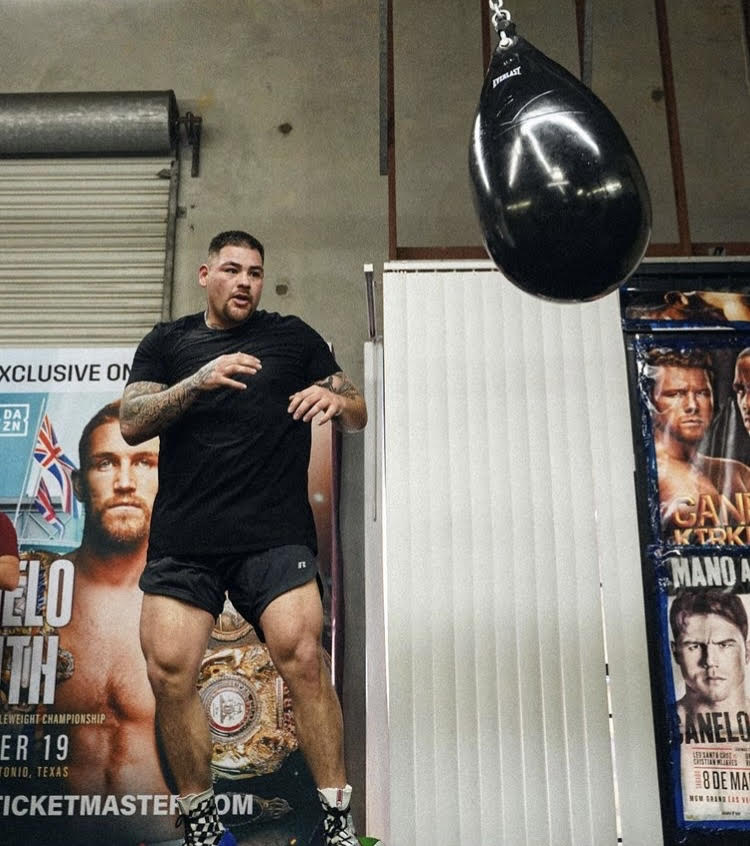 fotos de andy ruiz 0045