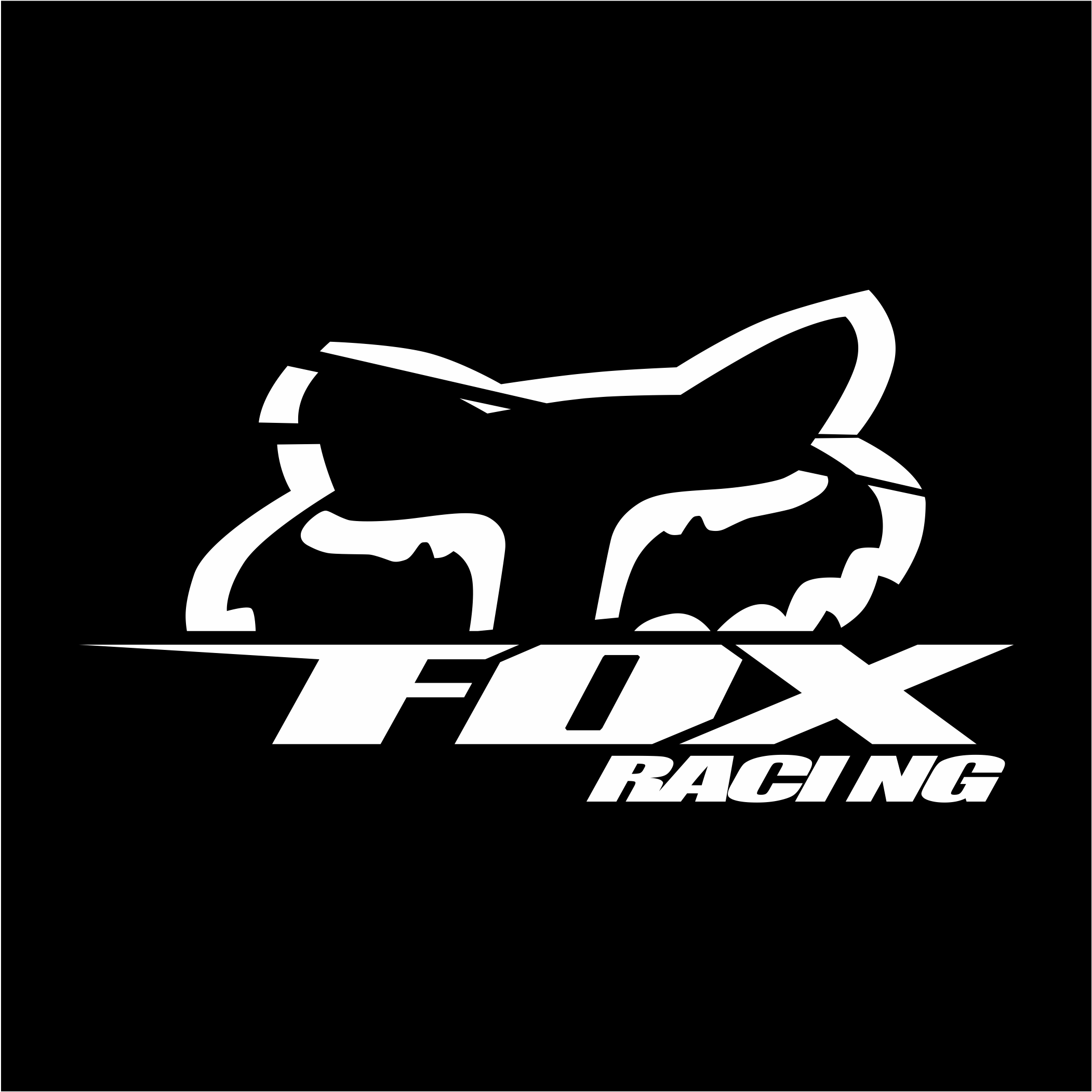 Fox racing action shots