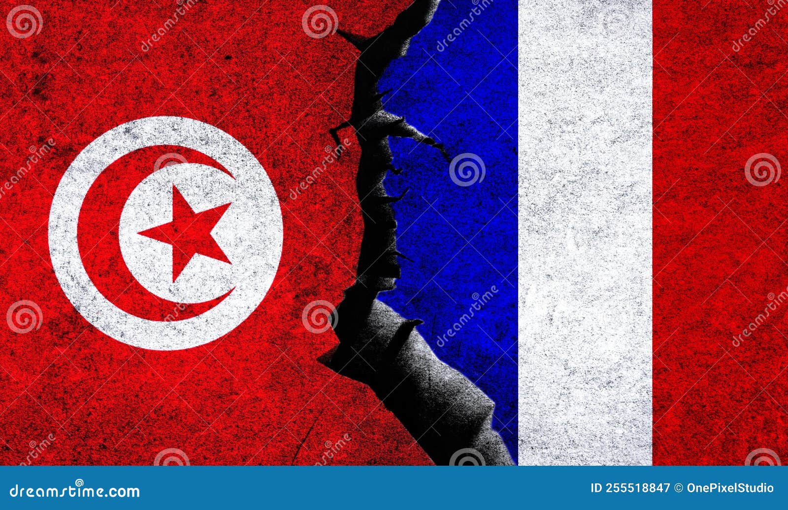 france vs tunisia 0029