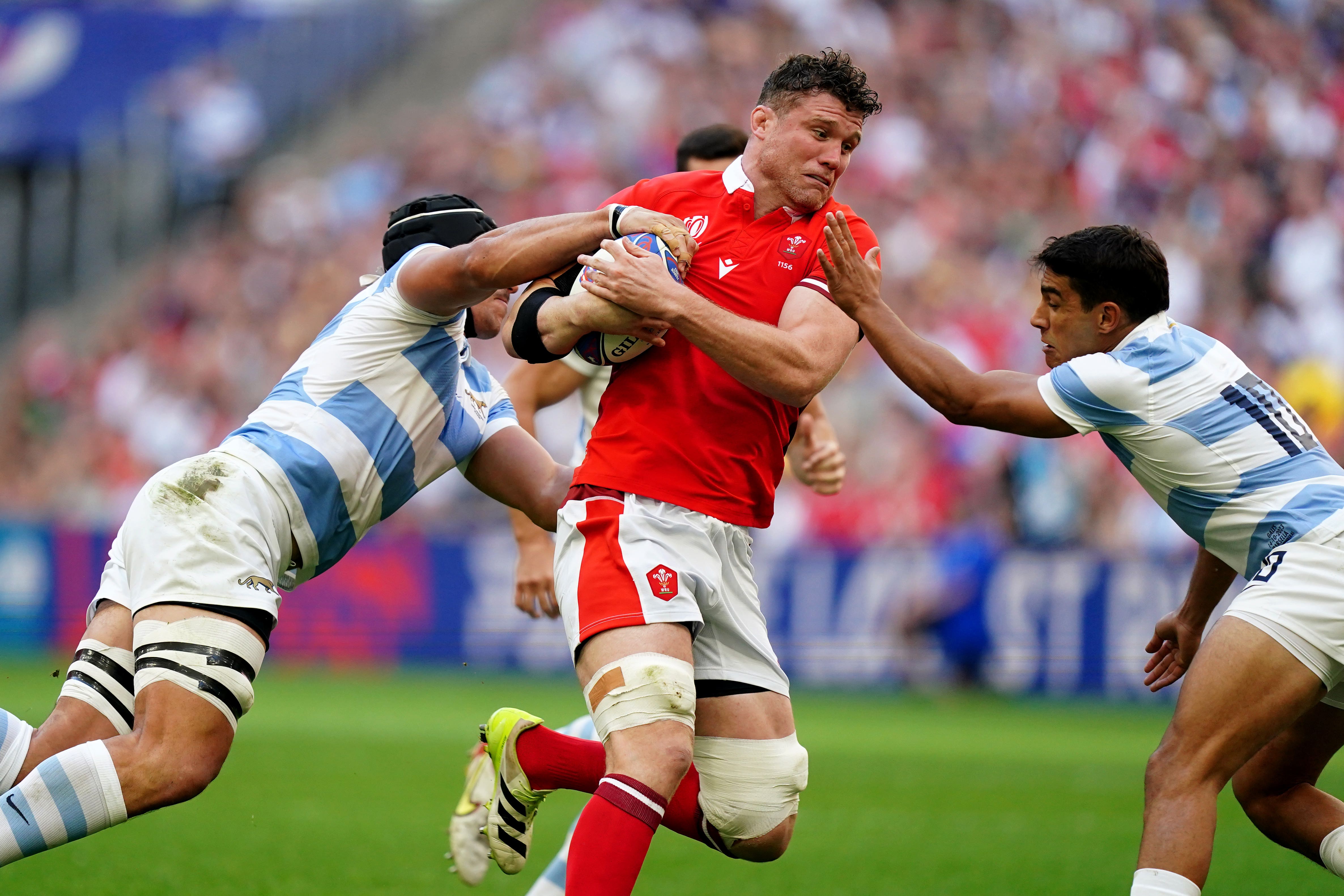 france wales rugby 0047