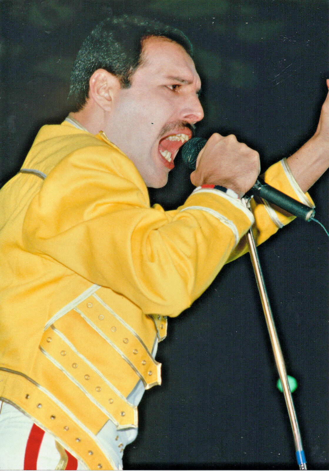 freddie mercury 1984 0031