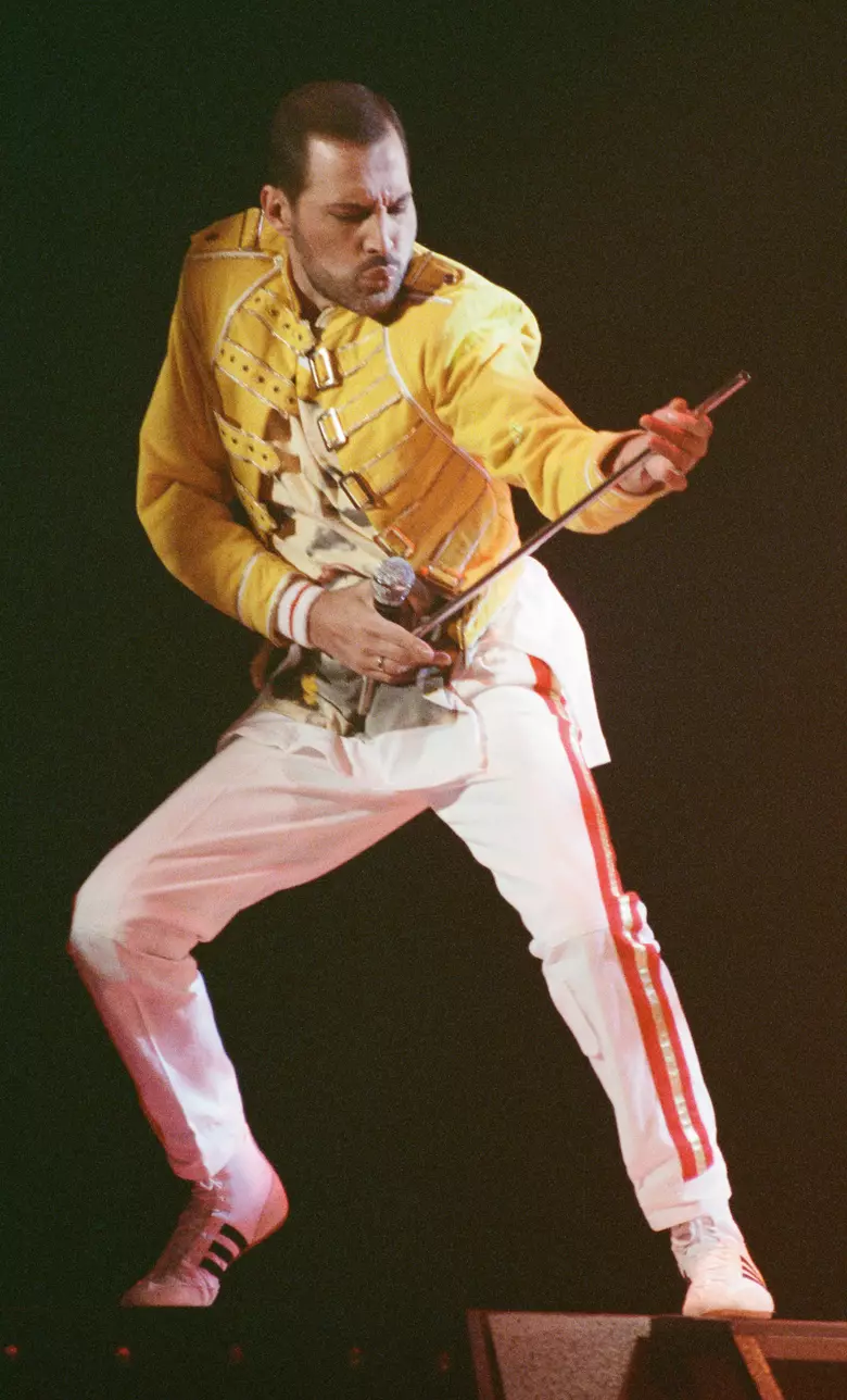 freddie mercury moustache 0028