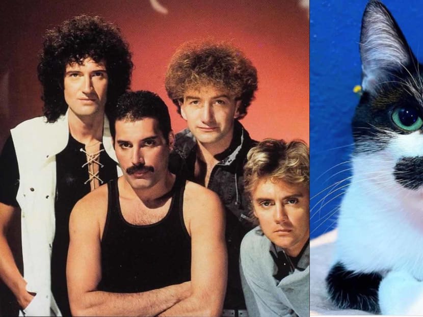 freddie mercury moustache 0029