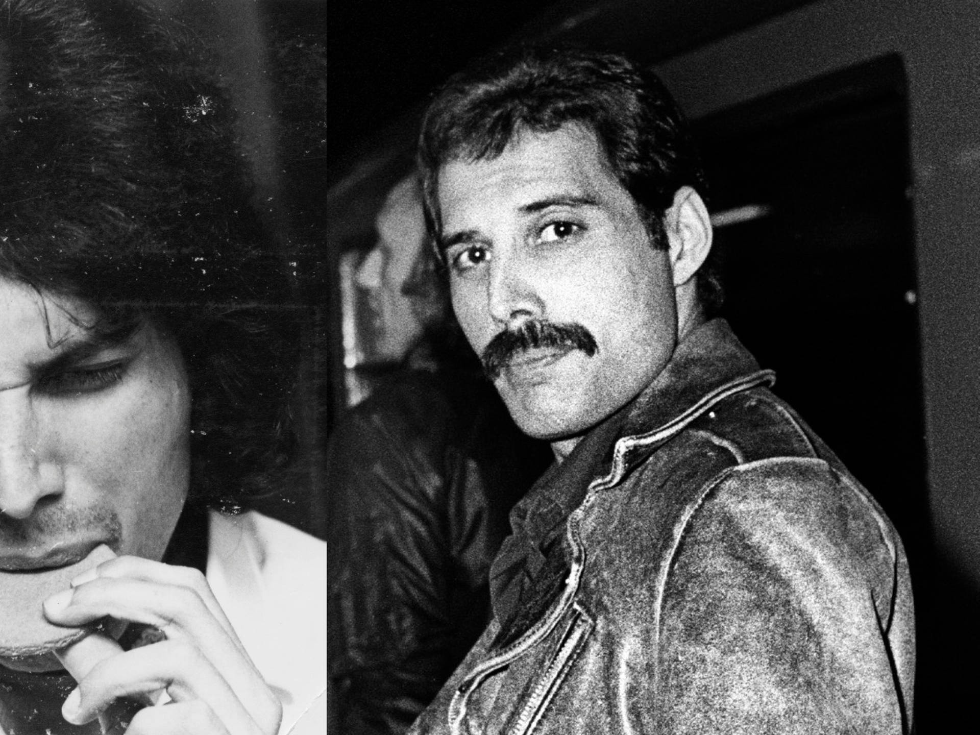 freddie mercury moustache 0040
