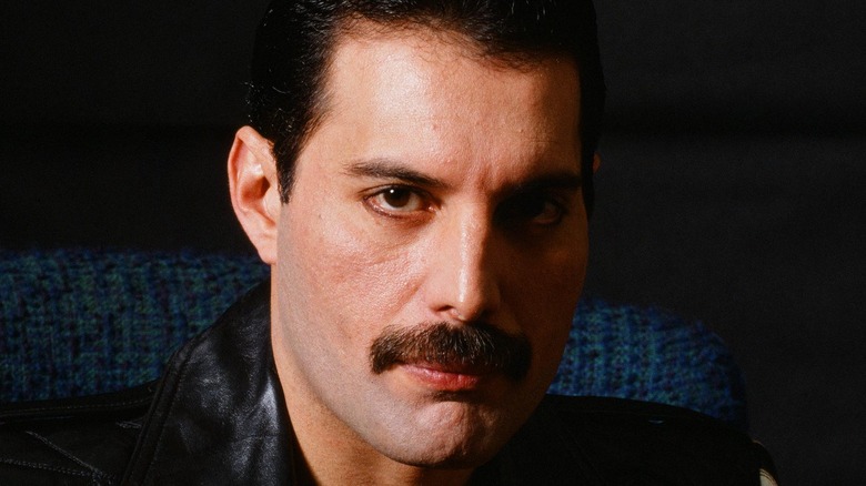 freddie mercury moustache 0043