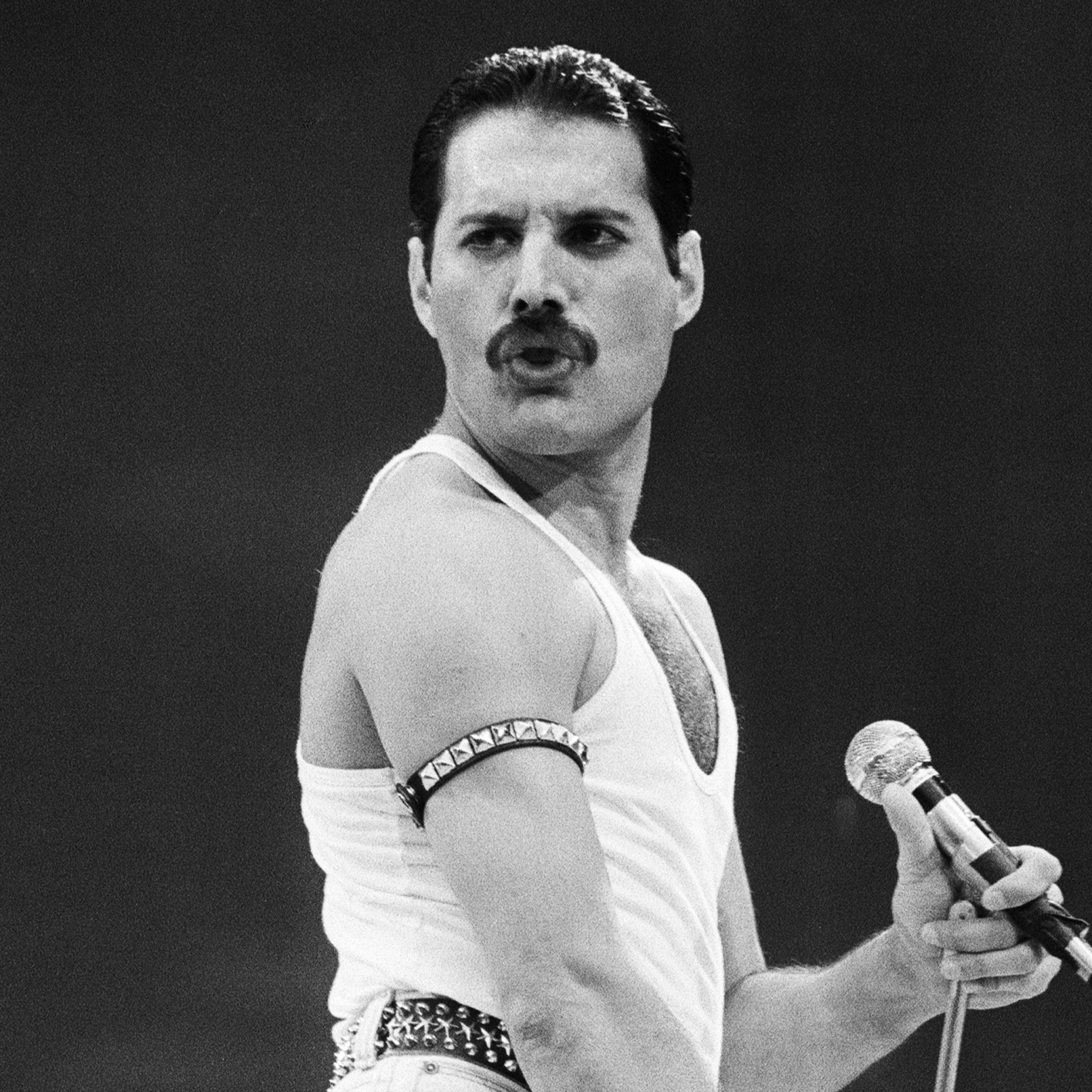 freddie mercury with mustache