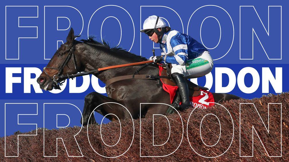 frodon 0010