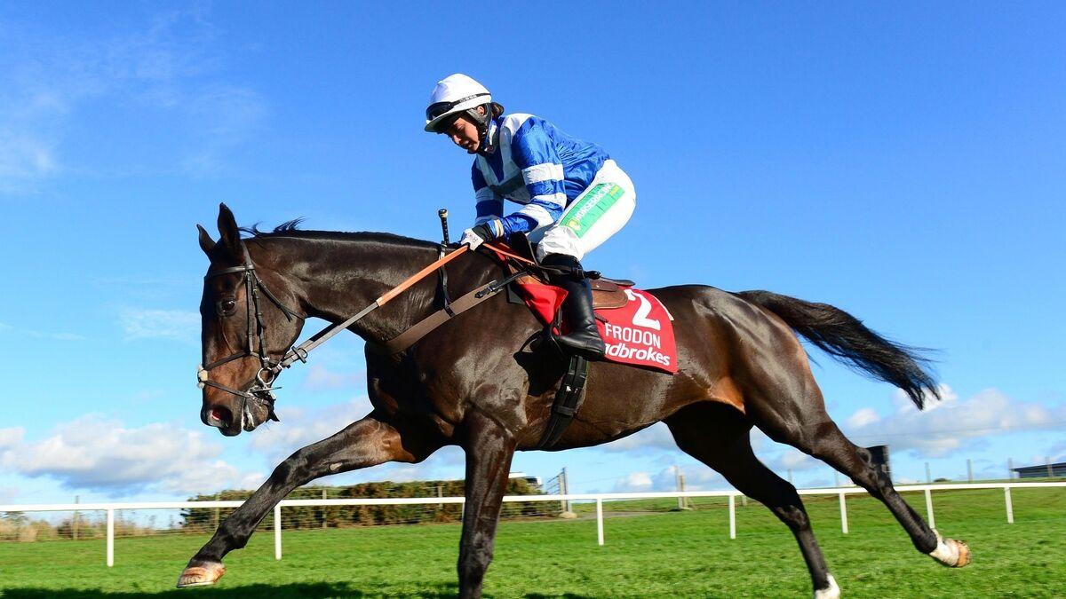 frodon 0016