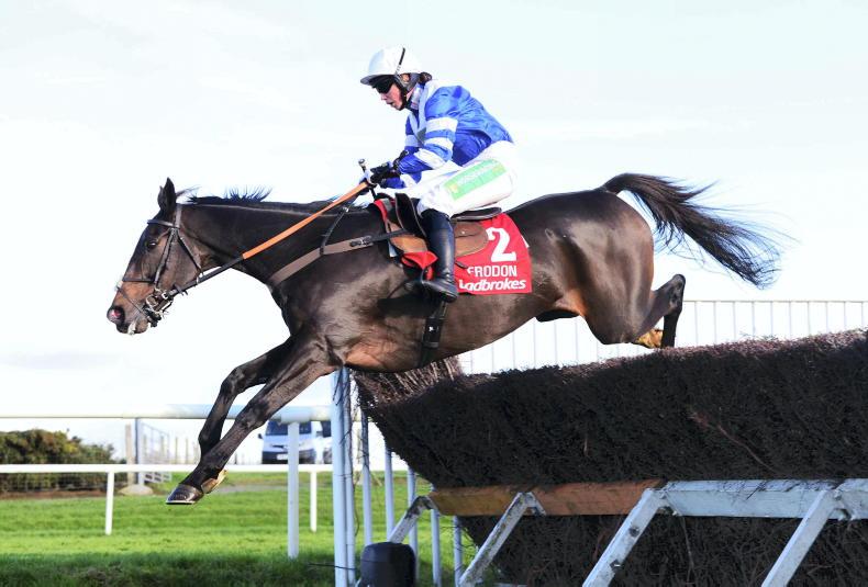 frodon 0046