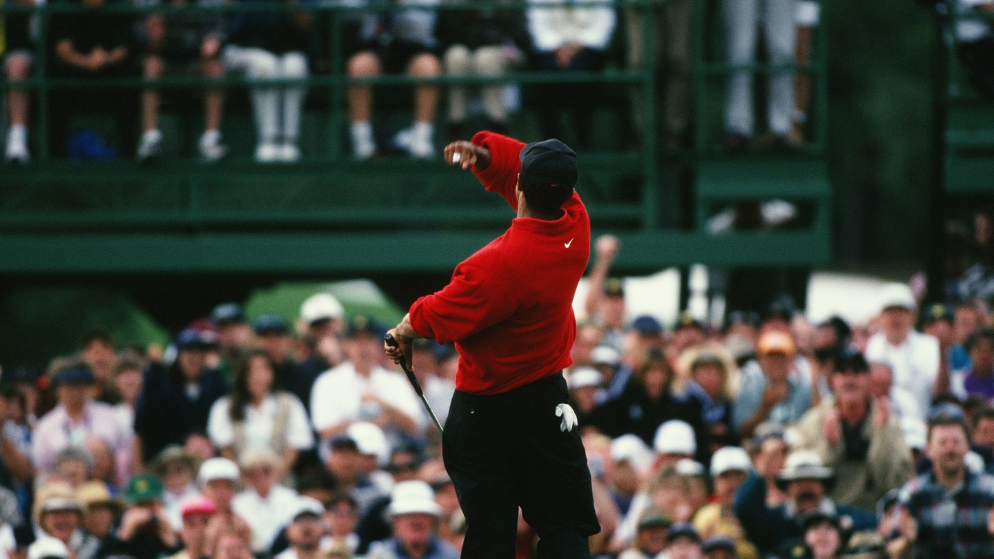 fuzzy zoeller tiger 0013