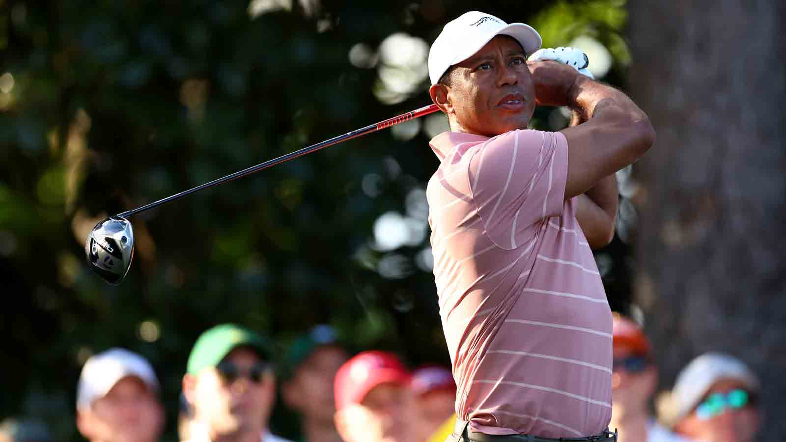 fuzzy zoeller tiger 0017
