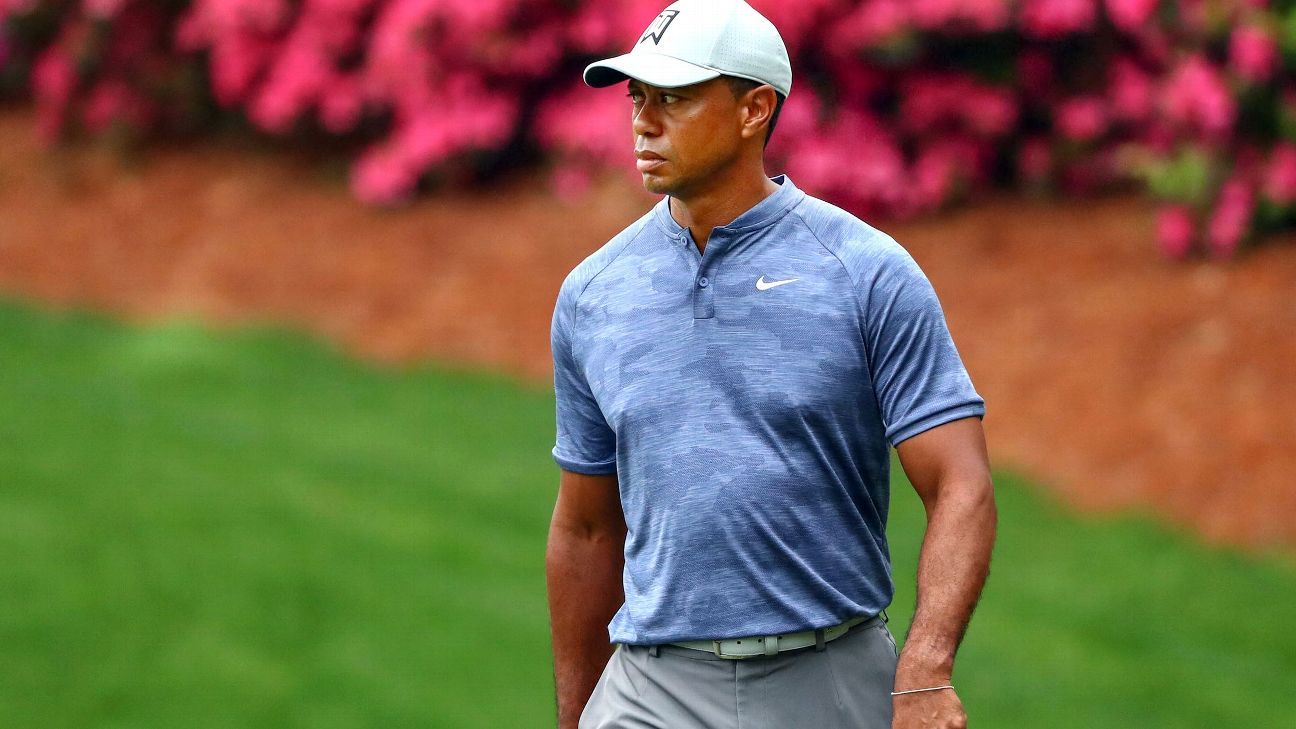 fuzzy zoeller tiger 0026