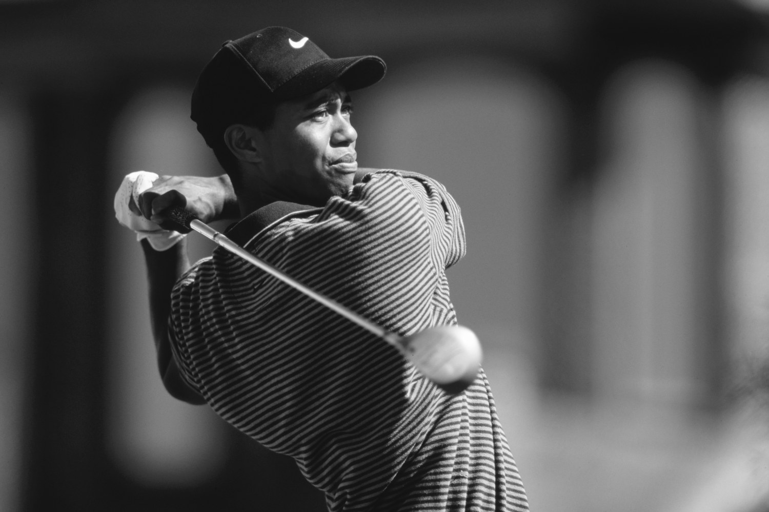 fuzzy zoeller tiger 0029