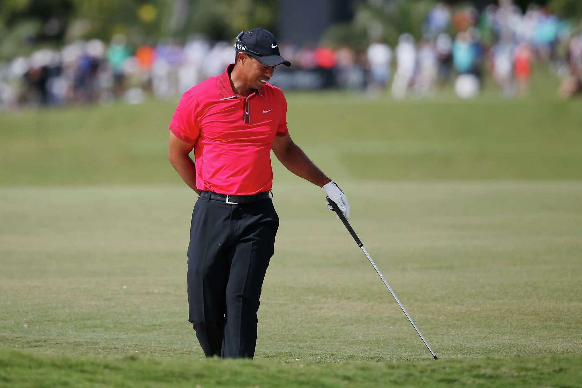 fuzzy zoeller tiger 0031