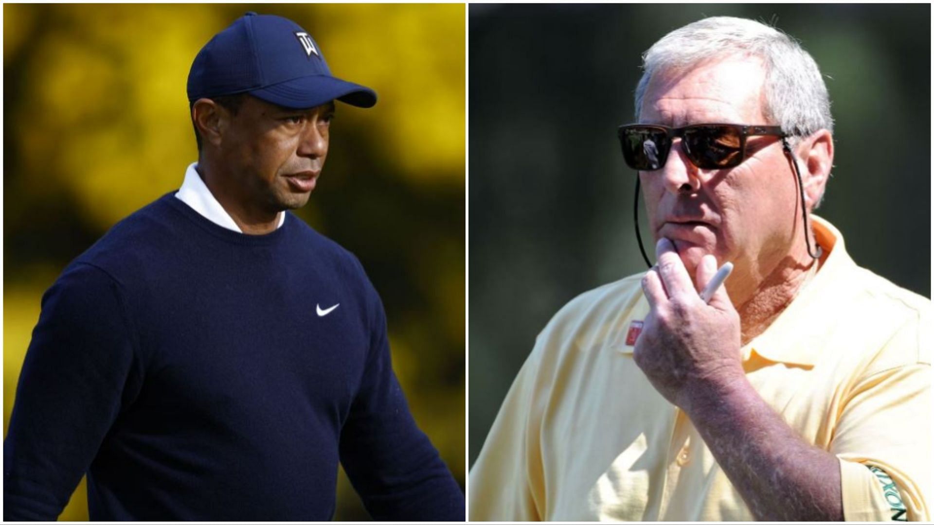 fuzzy zoeller tiger 0041