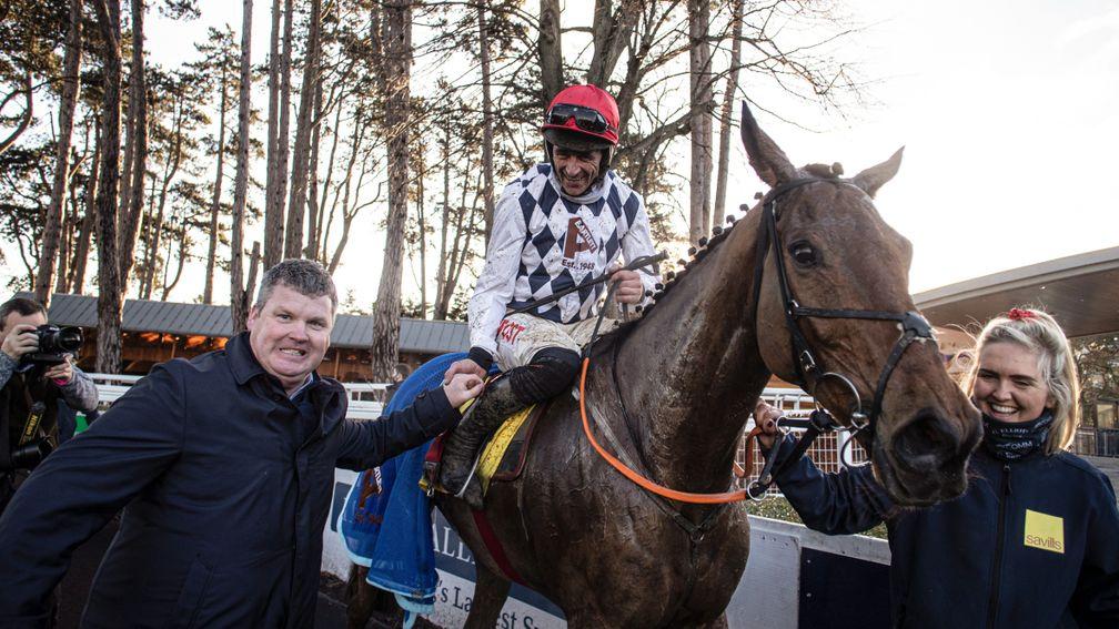 galvin horse 0015