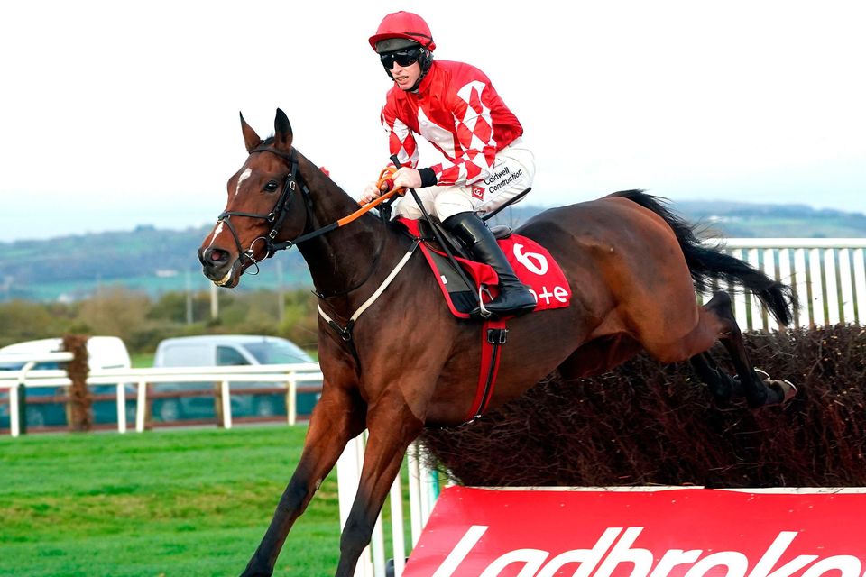 galvin horse 0017
