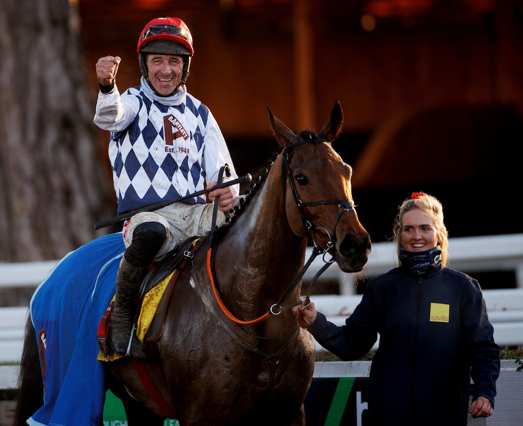 galvin horse 0022