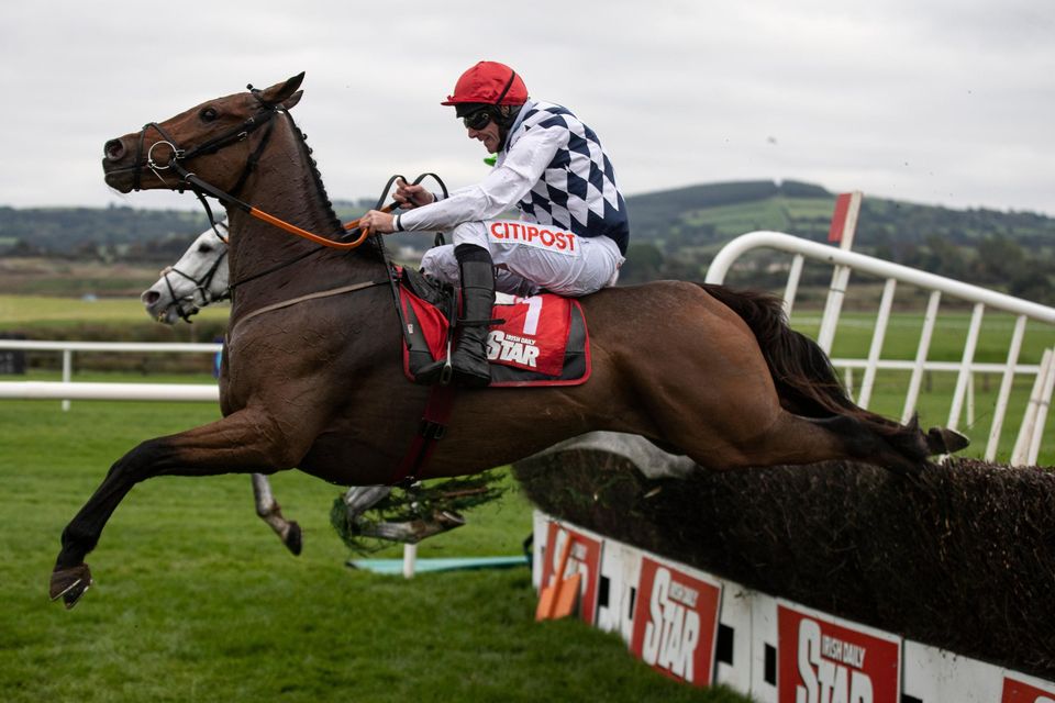 galvin horse 0039