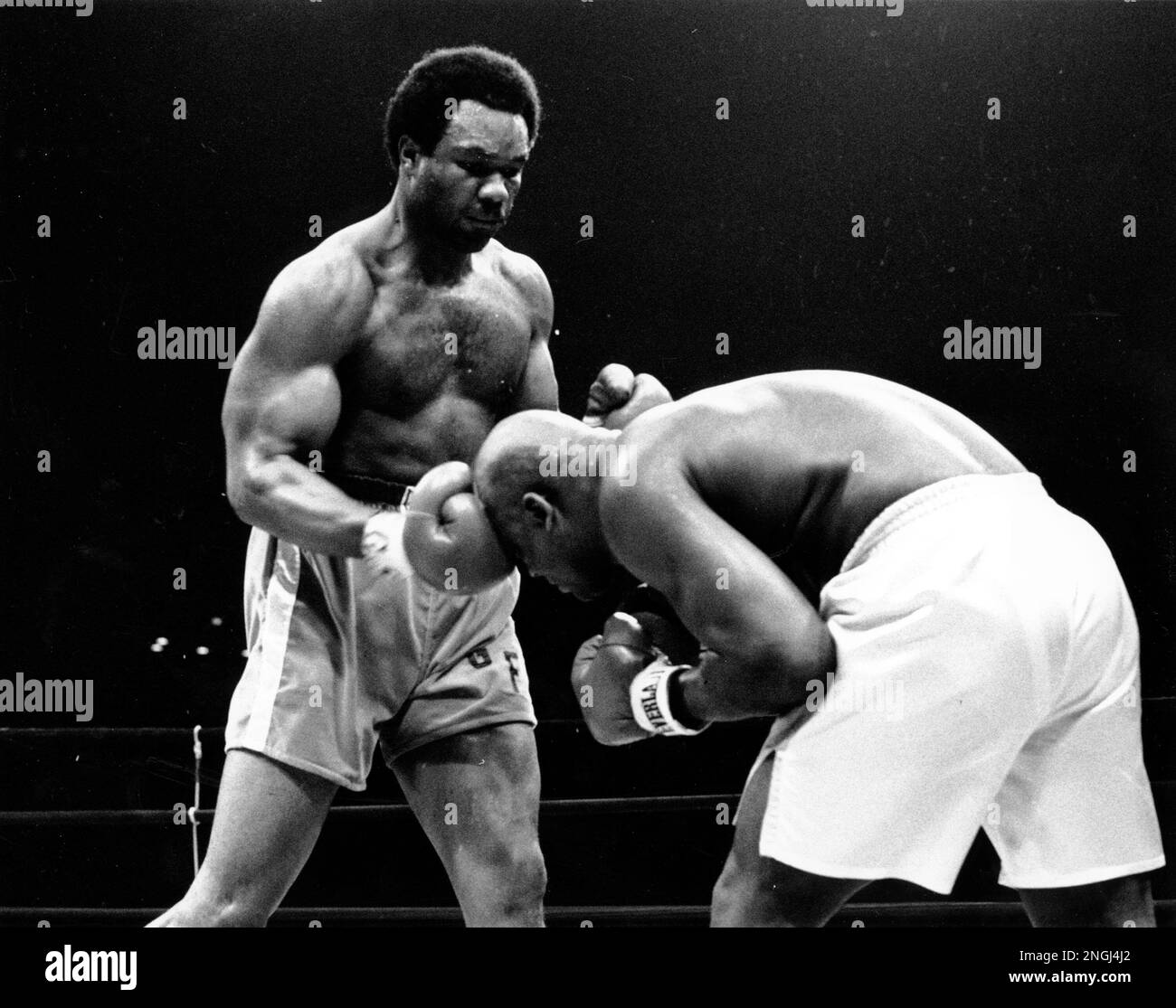 george foreman wallpaper 0019