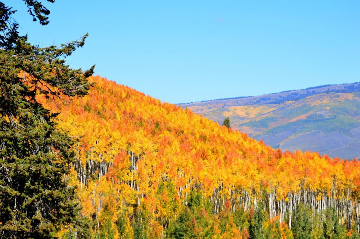 Glenwood Springs history