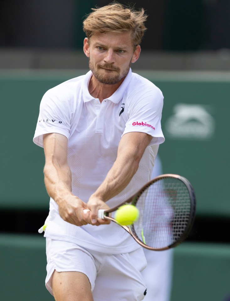 goffin vs norrie 0012