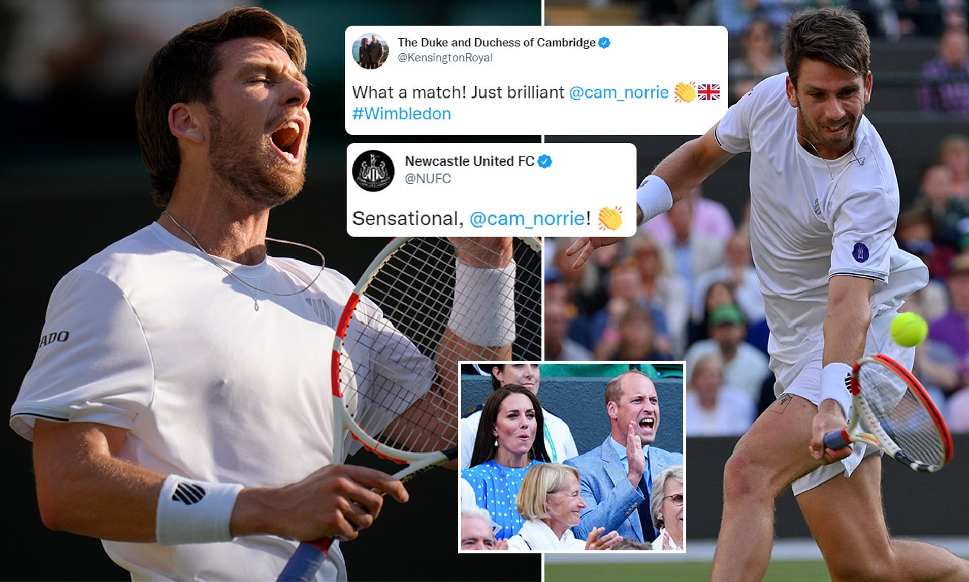 goffin vs norrie 0014