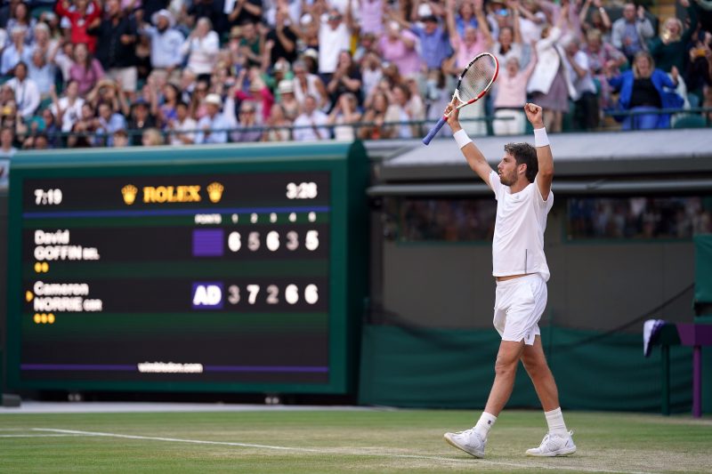goffin vs norrie 0016