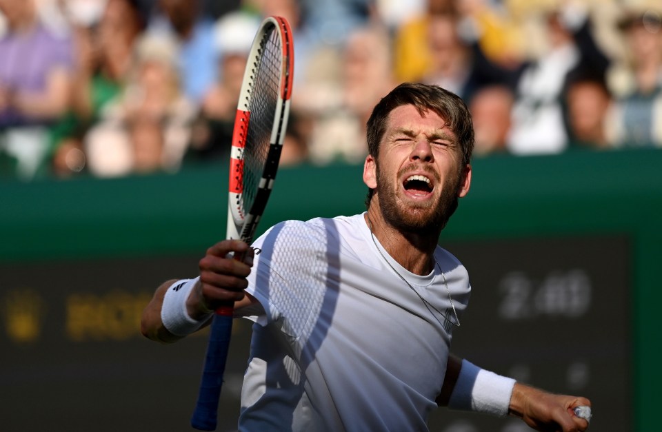 goffin vs norrie 0019
