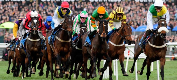 Gold Cup 2022 event details.