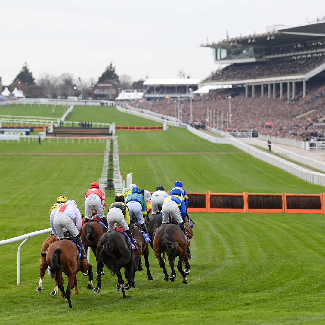 Gold Cup race day 2022