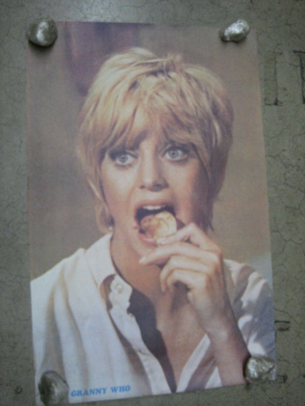 goldie hawn poster 0013