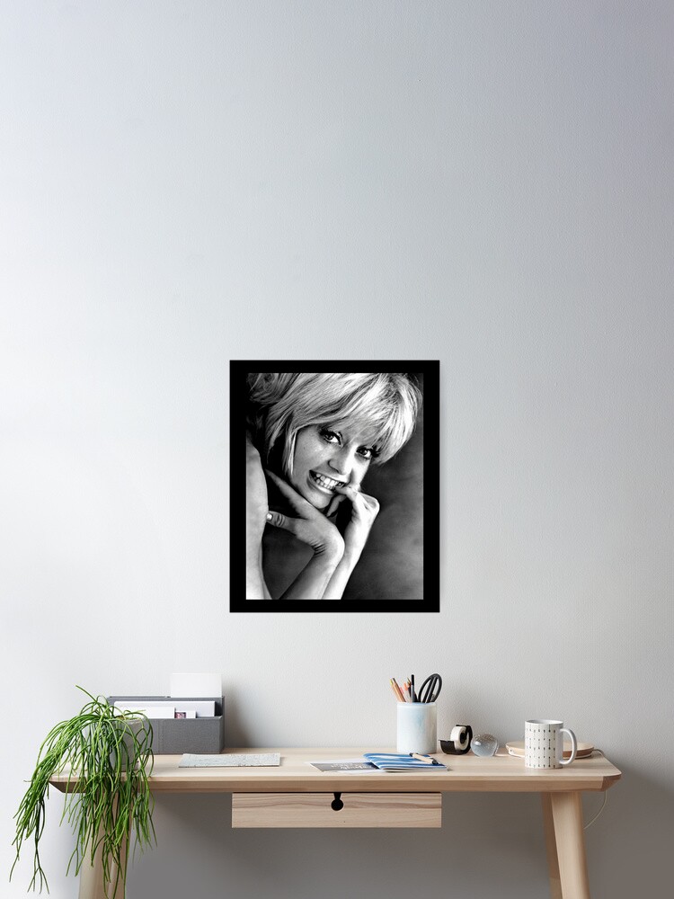 goldie hawn poster 0028