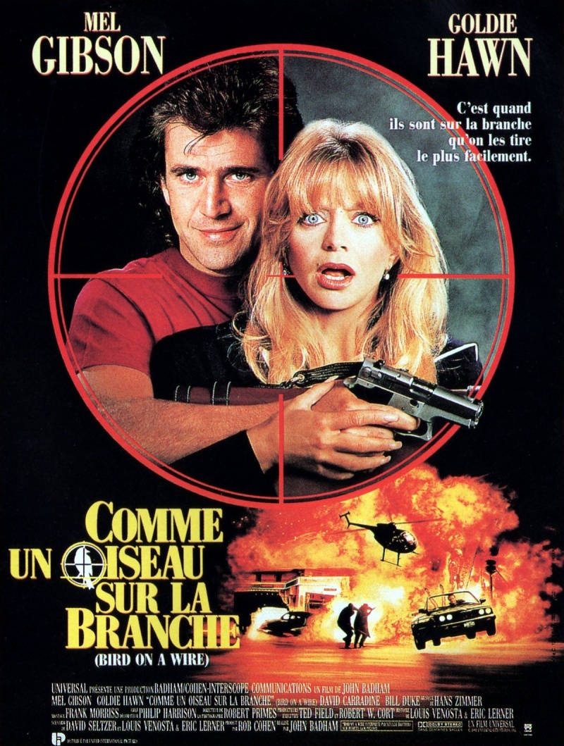 goldie hawn poster 0031