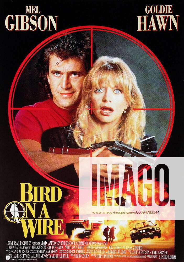goldie hawn poster 0039
