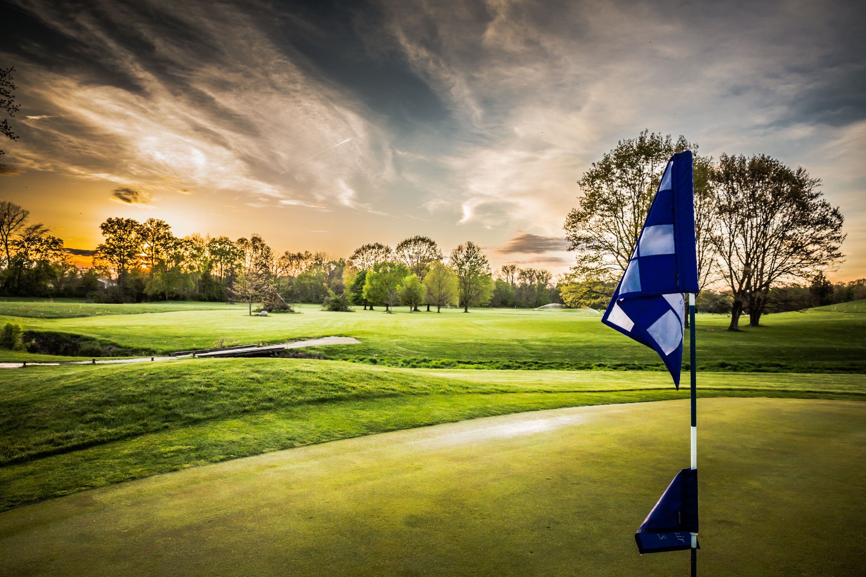 golf course print 0021
