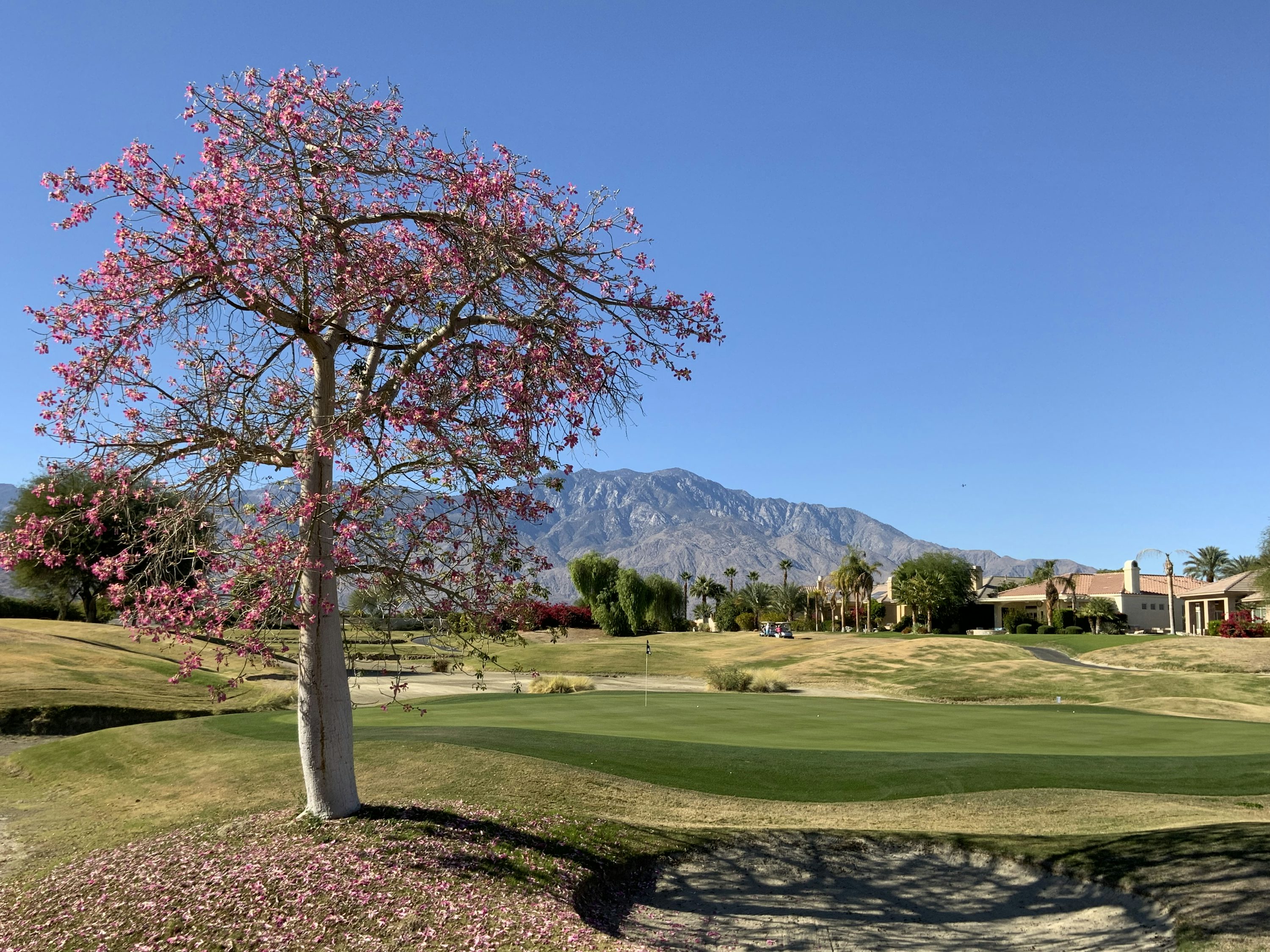 720p golf course image 0045