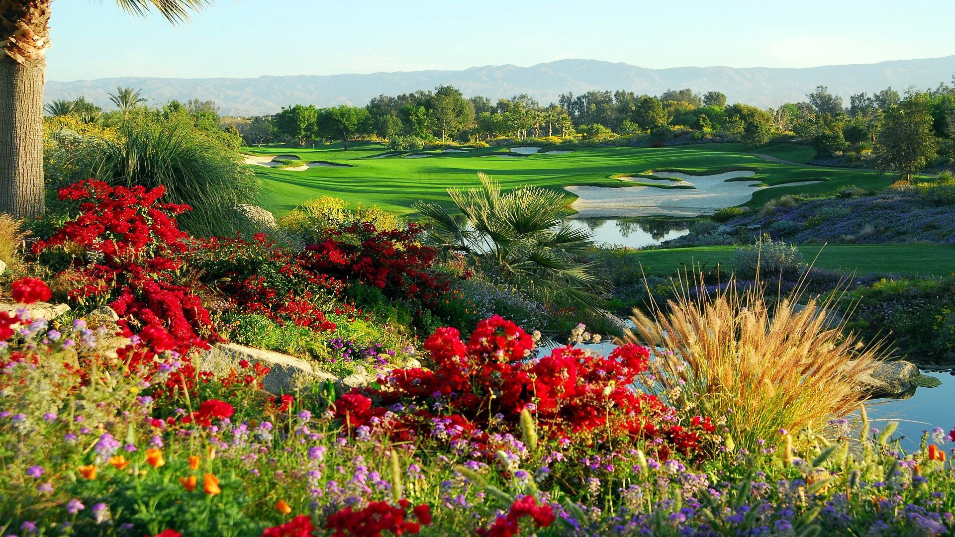 Golf course wallpapers 0029