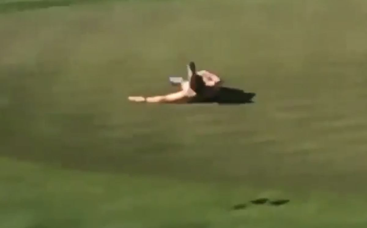 john daly british open streaker 0030