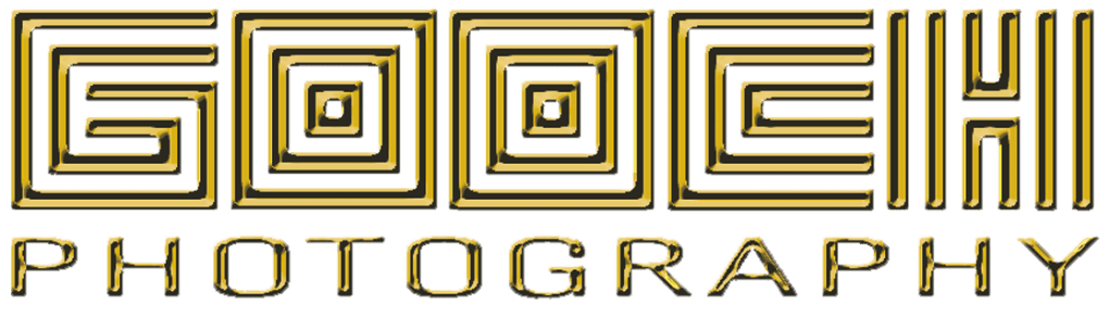 gooch image 0018